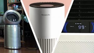 Don’t suffer with seasonal allergies — I test air purifiers for a living and these are my top 3 recommendations for filtering out pollen and dust