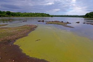 Horror flesh-eating bacteria found lurking in New York waters – victims can die in hours