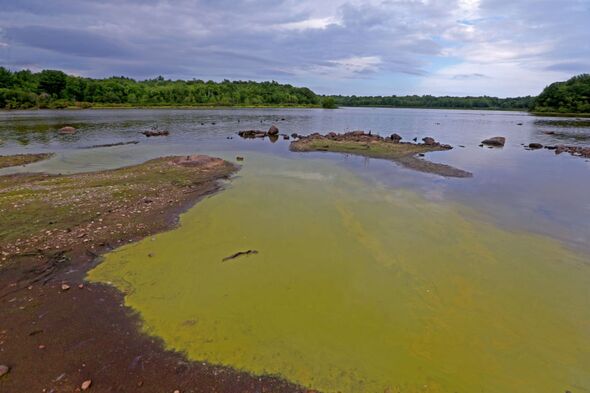 Horror flesh-eating bacteria found lurking in New York waters – victims can die in hours
