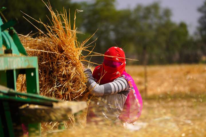 Iran war could push world into a food ‘catastrophe,’ UN agency warns