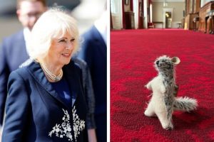 Queen Camilla to reunite beloved Winnie the Pooh toy during US state visit