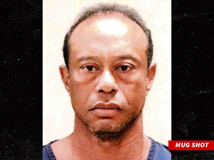 Second Tiger Woods Mug Shot Released Showing Different Look After DUI Bust
