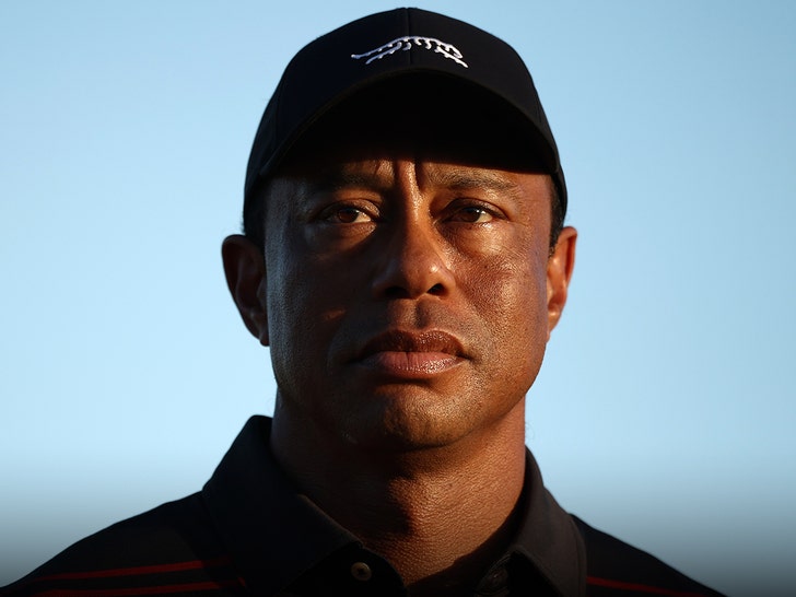 Tiger Woods Seeking Treatment After DUI Arrest