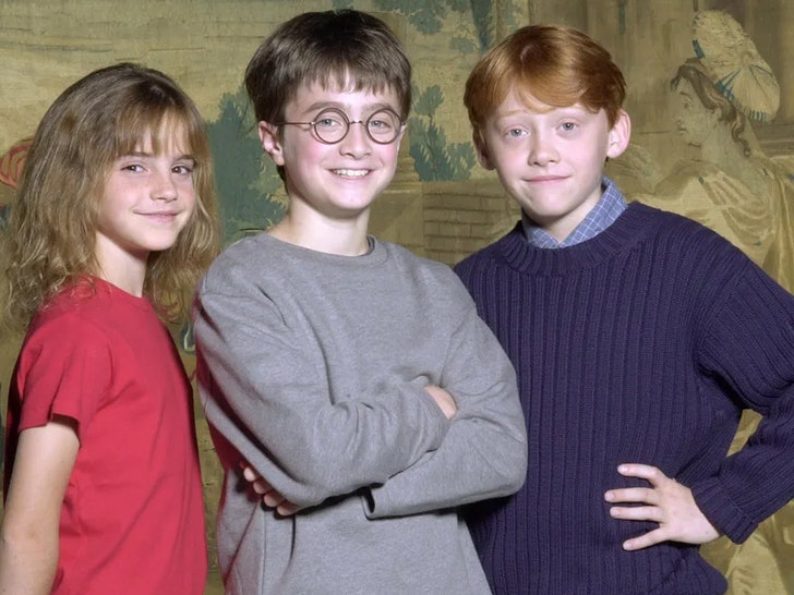 ‘Harry Potter’ Cast — Then and Now! See How Far They’ve Come!