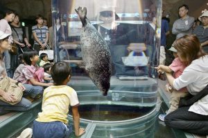 Japan zoo worker allegedly admits to throwing wife’s body into animal incinerator