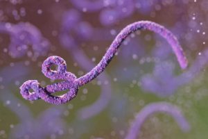 Ontario tests possible Ebola case after East Africa travel, no confirmations