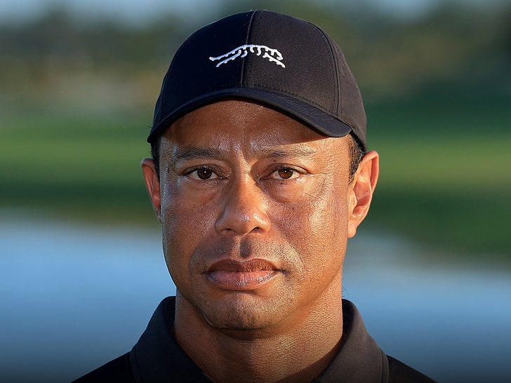 Tiger Woods’ Plane Flies Back to Switzerland Where He Went to Rehab