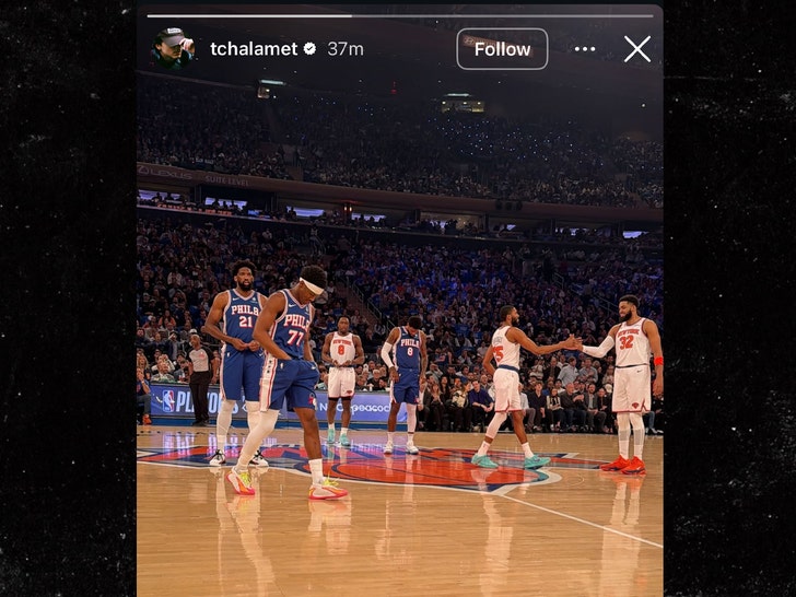 Timothée Chalamet Skips Met Gala, Sits Courtside at New York Knicks Playoff Game