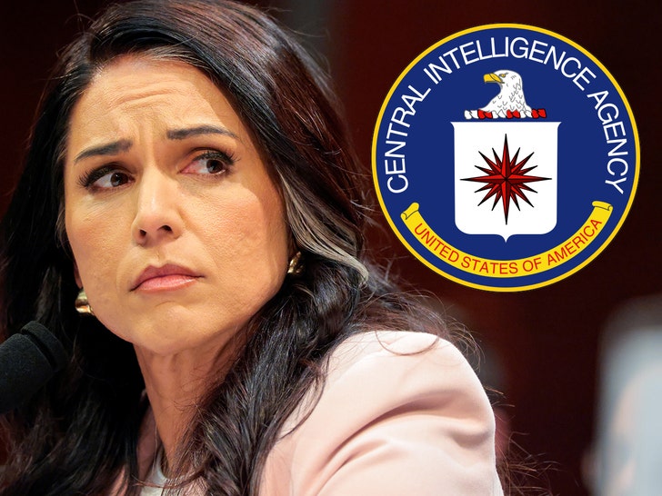 Tulsi Gabbard Spokesperson Denies CIA Raid, After Reports