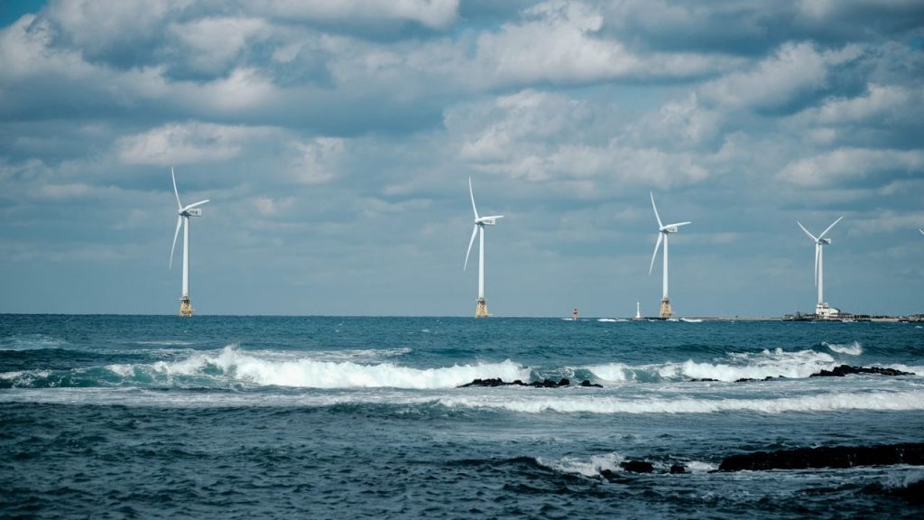 ‘We’re buzzing’: Octopus Energy is giving away more free electricity to its 8 million customers — and it could stop the UK wasting £1.5 billion to shut down wind farms