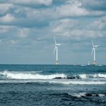 ‘We’re buzzing’: Octopus Energy is giving away more free electricity to its 8 million customers — and it could stop the UK wasting £1.5 billion to shut down wind farms