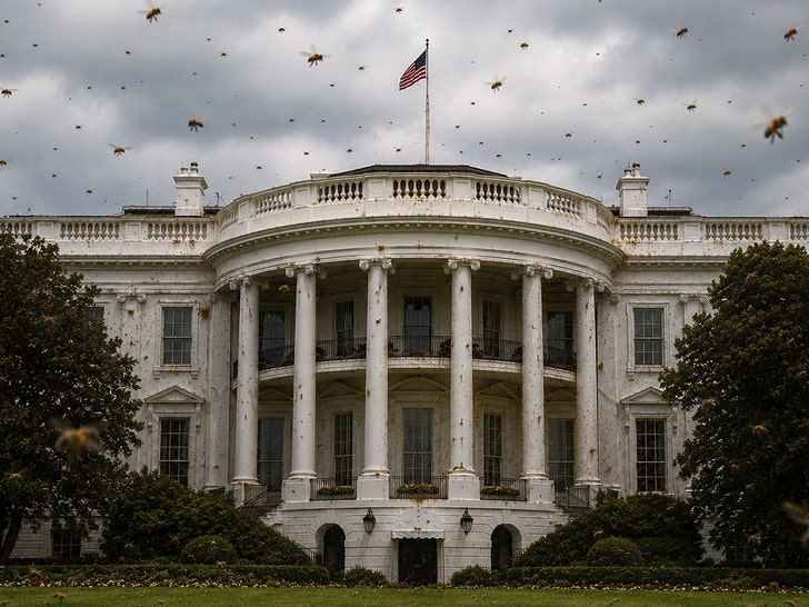 White House Overrun by Huge Swarm of Bees, Video Shows
