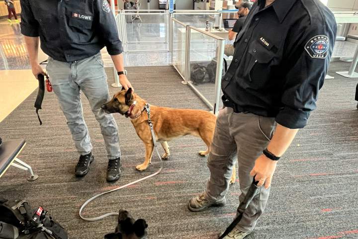 Burnaby Urban Search and Rescue team deploys to Venezuela after deadly earthquakes