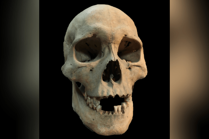 New evidence of origin of the black death a ‘complete surprise’ experts say