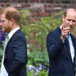 Royal Family LIVE: Prince Harry ‘blames Prince William’ for snub from cousin’s wedding