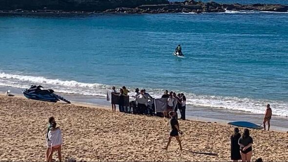 Shark attack at popular Sydney beach leaves swimmer in critical condition