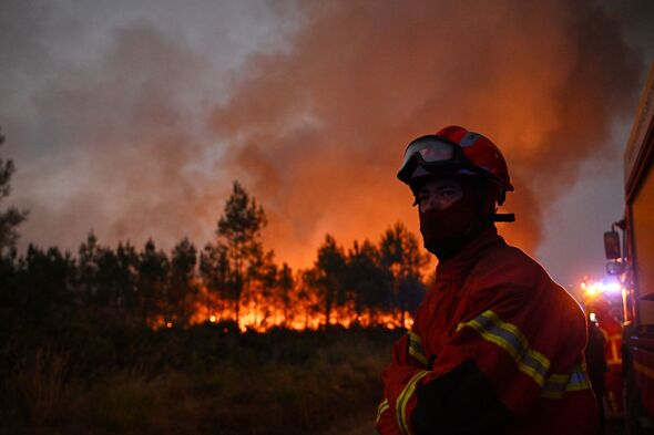 Chilling threat ‘all of Europe’ could be engulfed in wildfires as Italy, France and Turkey