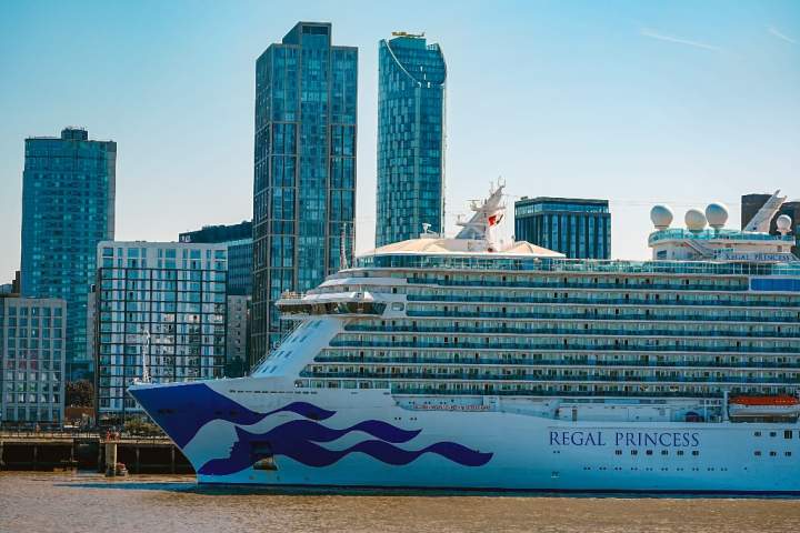 Crew member dead after going overboard Regal Princess cruise ship