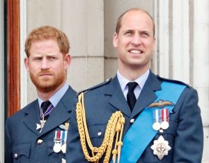 Prince William ‘wants nothing to do with’ Harry – ‘cynical ploy to save his own skin’