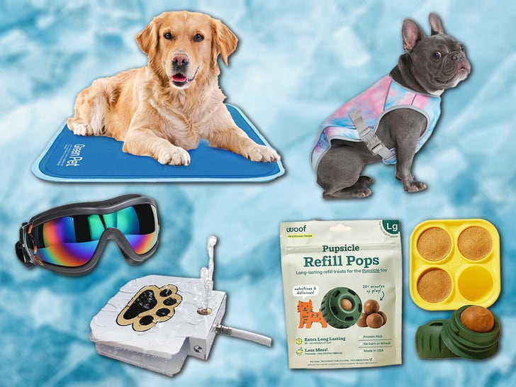 Summer Pet Essentials on Amazon