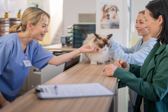 UK family-run vet practice announces closure of all branches