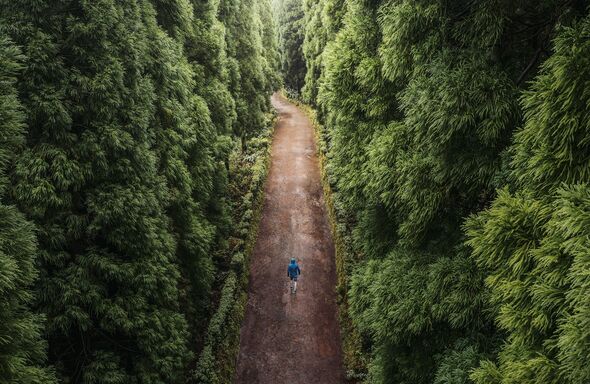 Woman who thought she was meeting potential husband gang raped in woods