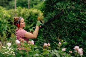 Your legal rights if a neighbour demands you cut down hedges in your garden