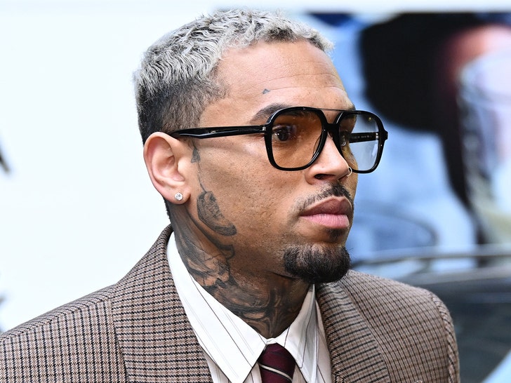Chris Brown Ex-Housekeeper Wins Right To Collect Cut Of His Tour Income Over $13 Mil Debt