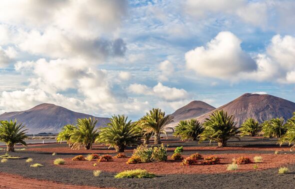 Crisis in Canary Islands as Lanzarote ‘extends emergency’ until 2027 – £5.5m invested