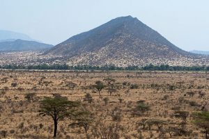 Helicopter ‘with seven tourists on board’ crashes in Kenya as passengers feared dead
