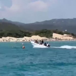 Horror as migrant boat crashes into and injures swimmer