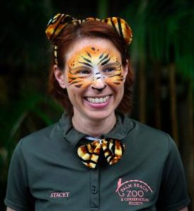 Horror as zookeeper, 38, mauled to death by a tiger