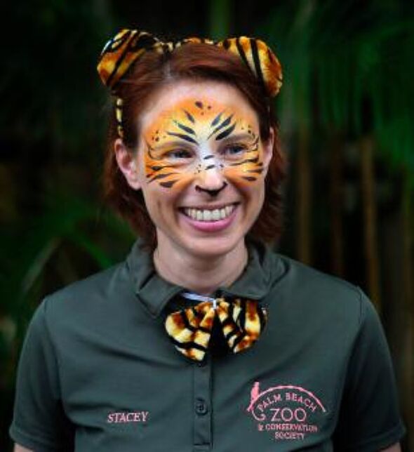 Horror as zookeeper, 38, mauled to death by a tiger