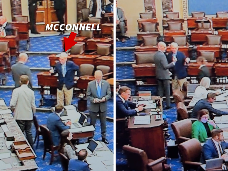 Mitch McConnell Repeatedly Confused on Senate Floor