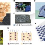 Scientists are developing a ‘magnetoelastic’ tent that makes its own electricity like a wind turbine — but don’t expect to be able to take one to Glastonbury next year