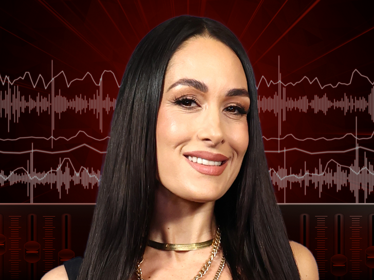 WWE Star Brie Bella Pooped Her Pants During Scary Medical Emergency