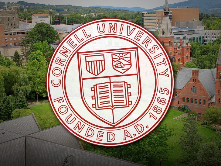 Alleged Cornell Gang Rape: Two Accused Frat Brothers Still Enrolled as Students