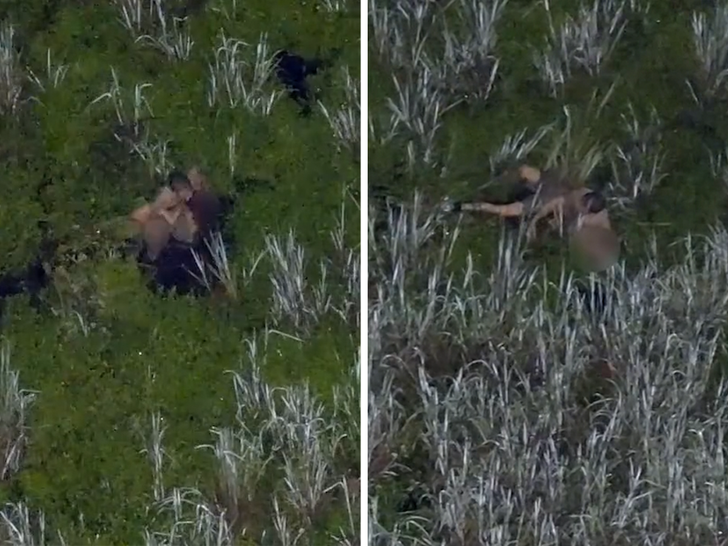 Florida DUI Suspect Drops Baby, Toddler in Gator-Infested Swamp While Fleeing Cops