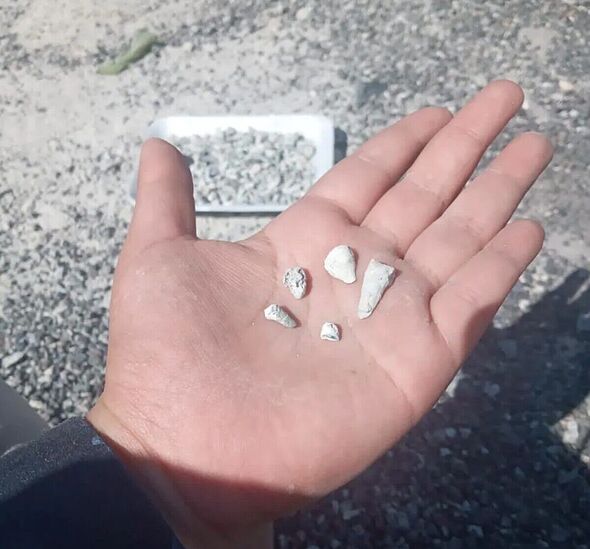 Grim discovery as 1,600 baby teeth found in mass grave
