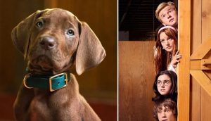 Netflix makes ‘Scooby-Doo’ history with first real Great Dane in new show