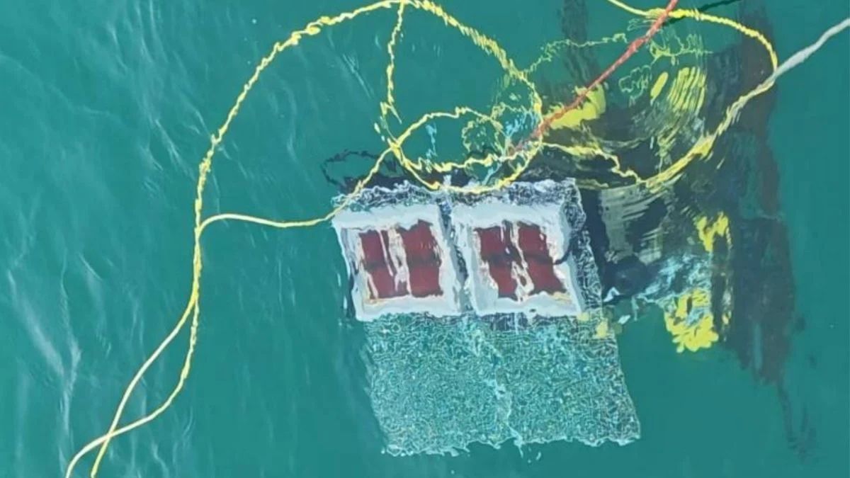 Scientists test underwater solar panels that work 10 meters beneath the waves —breakthrough perovskite tech could support self-powered marine drones