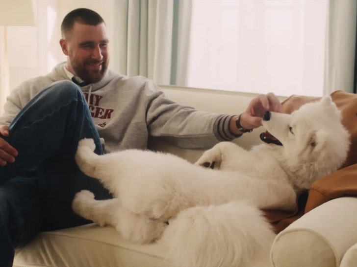 Taylor Swift and Travis Kelce’s Dog Makes Modeling Debut, Name Revealed