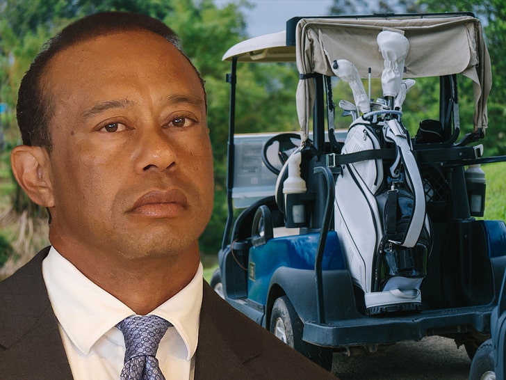 Tiger Woods Plea Deal Includes Driving Golf Carts