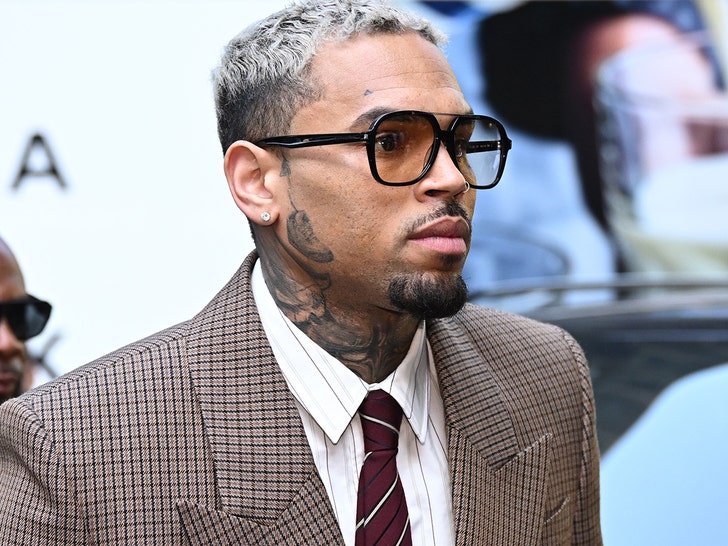 Chris Brown’s Ex-Housekeeper Wants Arrest Warrant Issued In Legal Fight Over Dog Bite