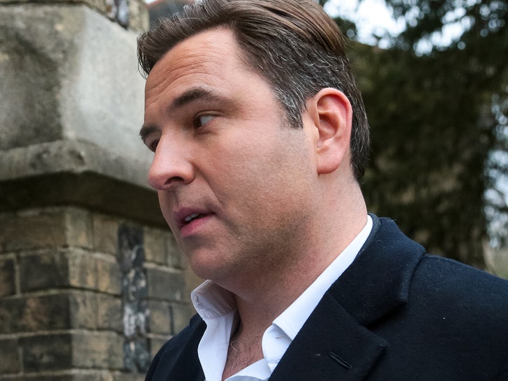 David Walliams Removed From Upcoming Film Following Misconduct Allegations