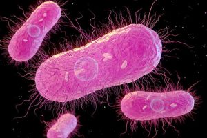 Horror as 27 people sick after outbreak of deadly bacteria – 5 in hospital