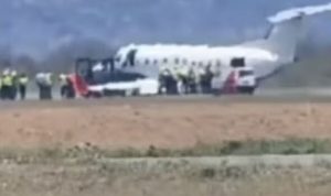 Horror as plane strikes and kills zebra while taking off in terrifying scenes