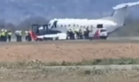 Horror as plane strikes and kills zebra while taking off in terrifying scenes