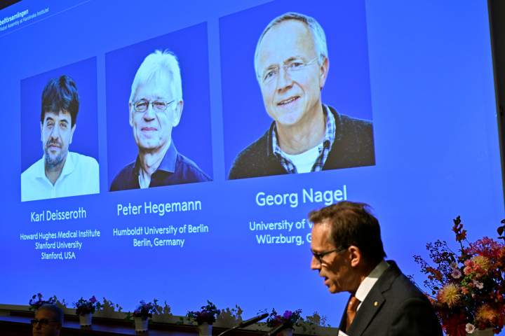 Nobel prize in medicine goes to U.S., German scientists for brain research