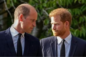 Prince Harry wants to reconcile ‘complicated relationship’ with brother, father